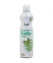 1L SIROP MENTHE SIMPL