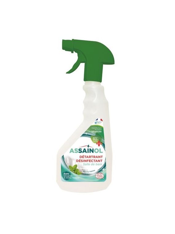 500ML SPRAY SDB MENTHE FR.ECO