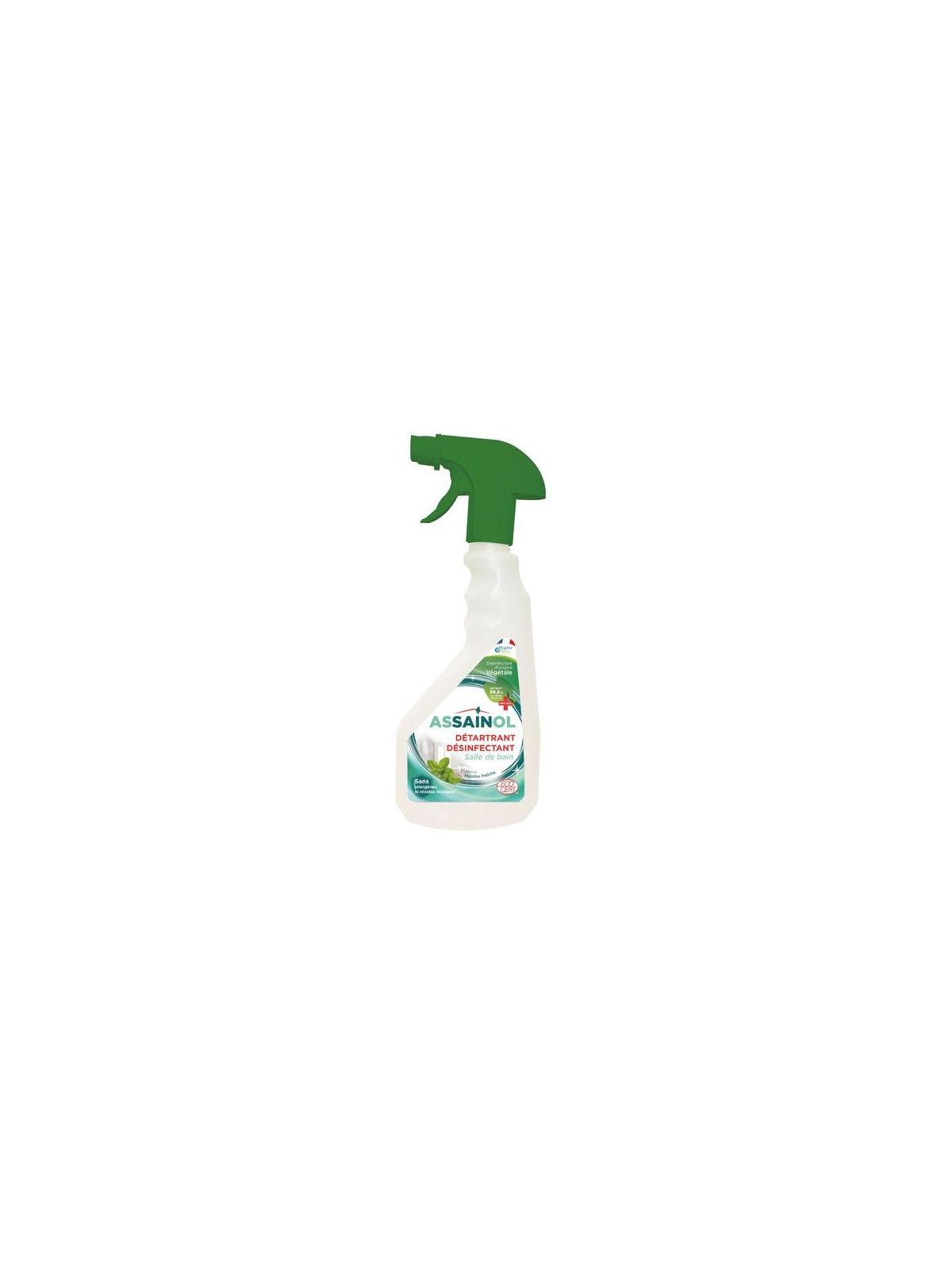 500ML SPRAY SDB MENTHE FR.ECO