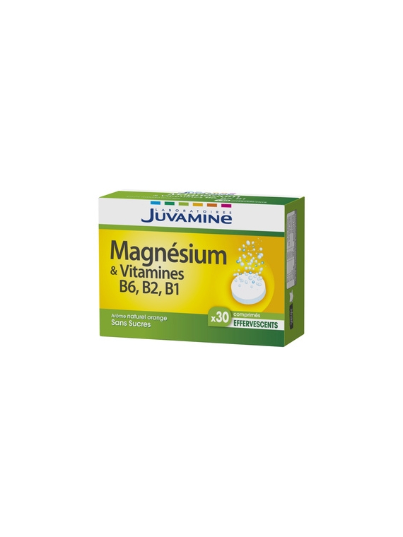 Magnésium Vitamines B6 B2 B1 JUVAMINE