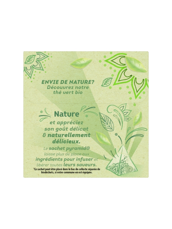 Thé Vert Bio Nature LIPTON