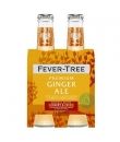 4X20CL GINGER ALE FEVER TREE