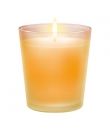 Bougie anti-tabac AIR WICK