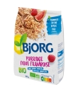 Céréales Porridge Figue Framboise Bio BJORG